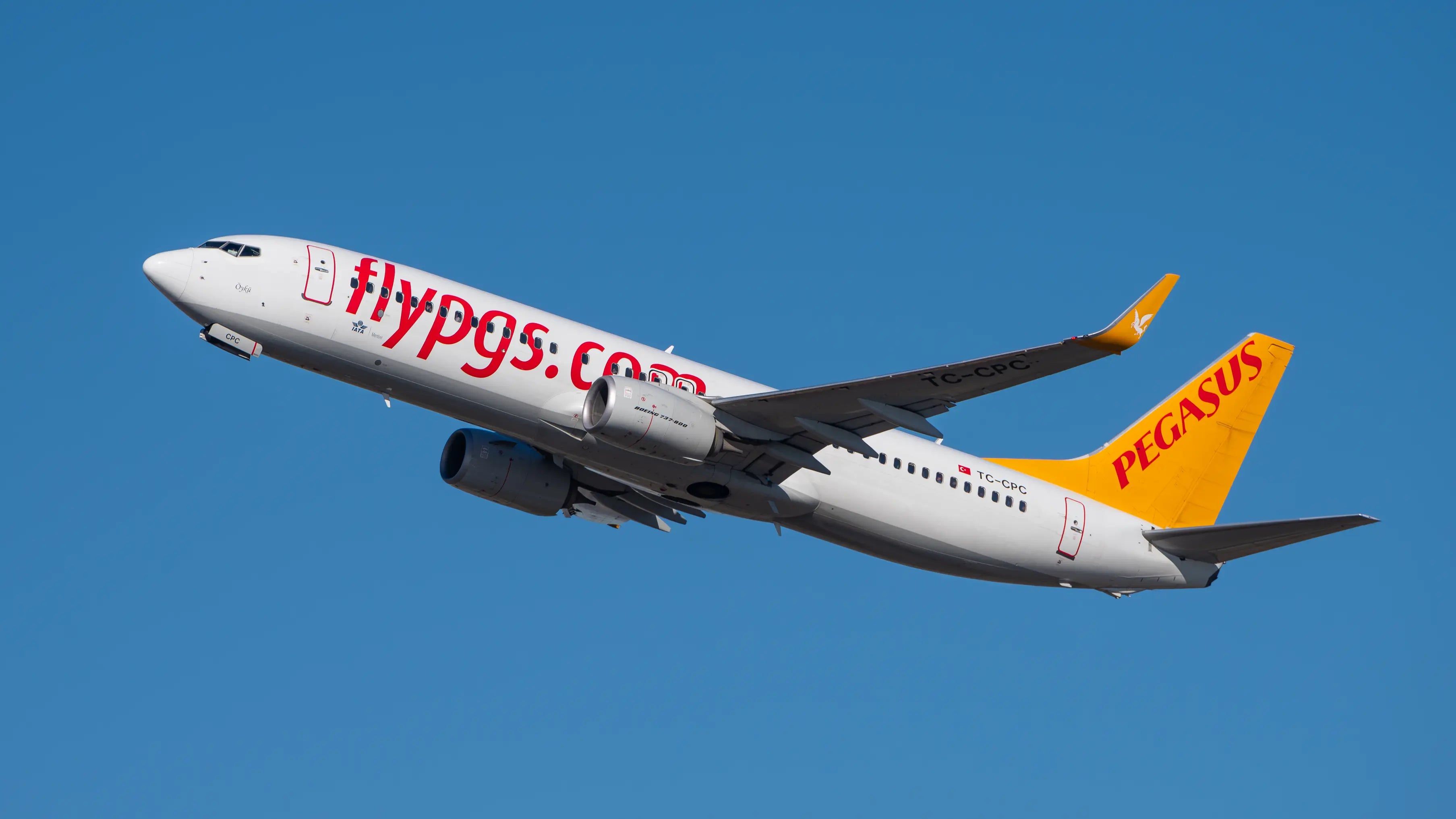 Pegasus Airlines Boeing 737-82R aircraft in flight, showing side view against a clear blue sky.